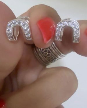 Aros herradura