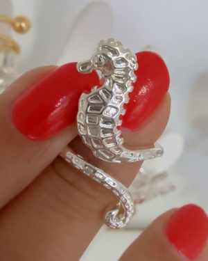 Anillo hipocampo