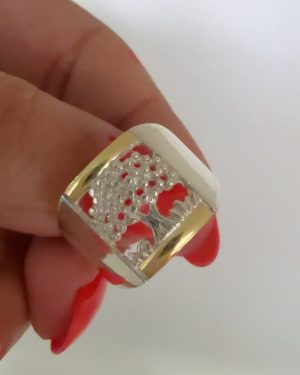 Anillo arbol